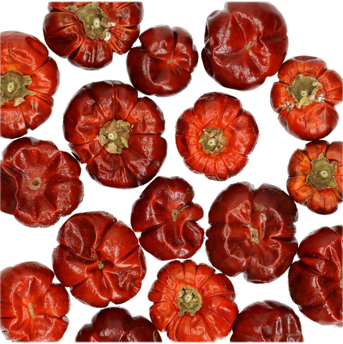 <h4>Droogvrucht Pompoen mini 100g</h4>