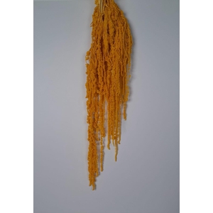 GESTABILISEERD AMARANTHUS (H) DONKERGEEL