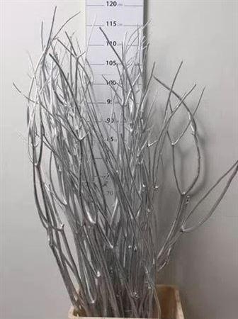 <h4>Mitsumata Col Zilver</h4>