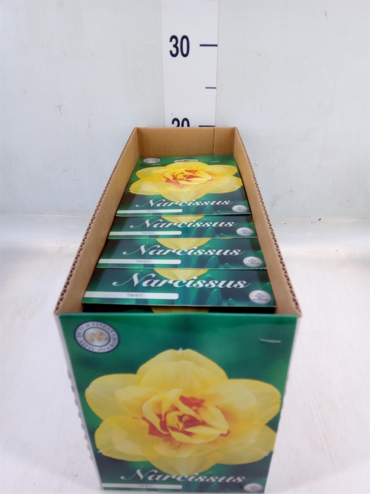 <h4>Flowerbulbs, corns or tubers   ...</h4>
