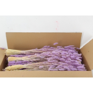 DF Lagurus 100g Milka