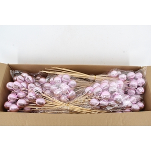 Stick Ball Thread Shiny Ø6 Pnk