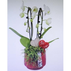 2233 ROOD CASCADE KER