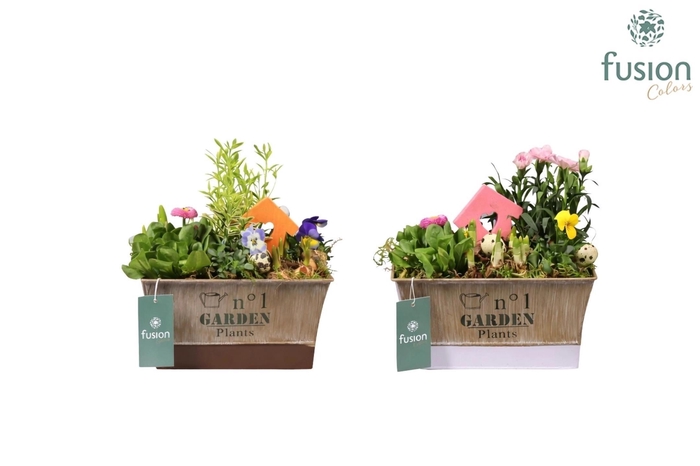 <h4>Zinken pot rechthoek Pasen 2 kleuren large met arrangement</h4>