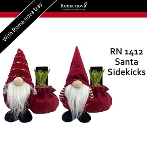 arr4 Hyacint RN - Santa sidekicks