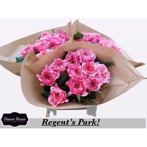 R GR REGENTS PARK!