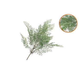 Silk Fern Maiden Hair Branch Green Snowy 76cm