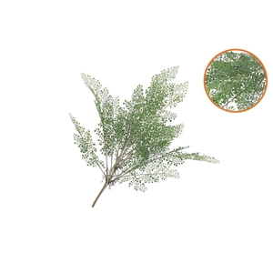 Silk Fern Maiden Hair Branch Green Snowy 76cm Nm
