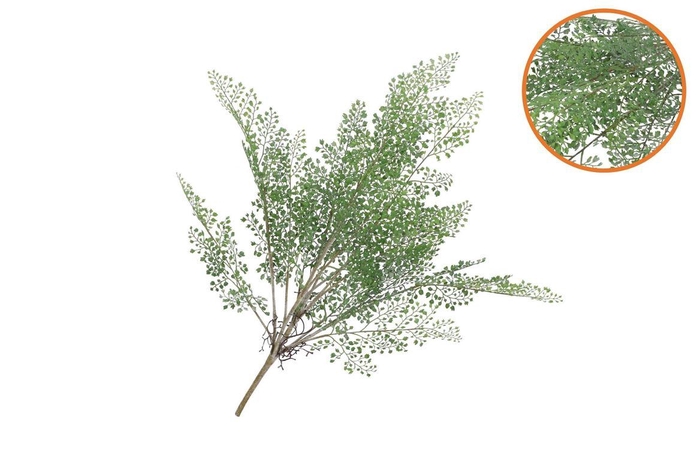 <h4>Silk Fern Maiden Hair Branch Green Snowy 76cm</h4>