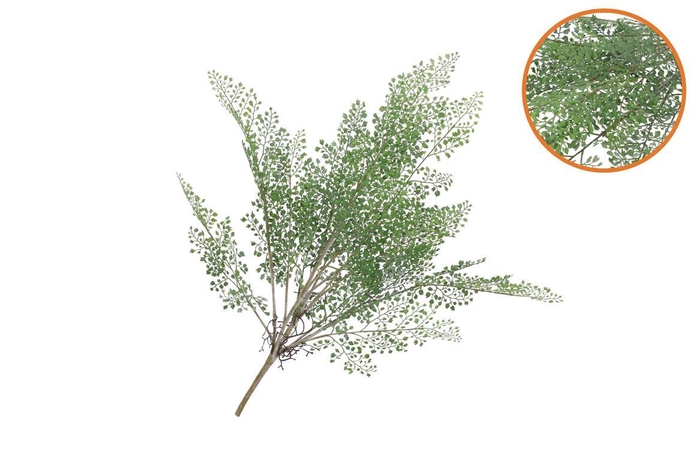 <h4>Silk Fern Maiden Hair Branch Green Snowy 76cm Nm</h4>
