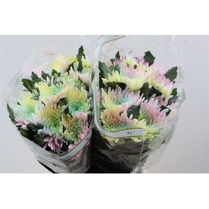 Chr G Kbh Topspin Soft Rainbow