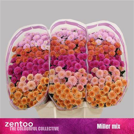 <h4>Chr S Mix Miller 1100gr</h4>
