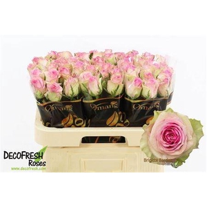 R Gr Brigitte Bardot