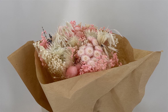 <h4>Dr Bqt Bleach Small Light Pink</h4>