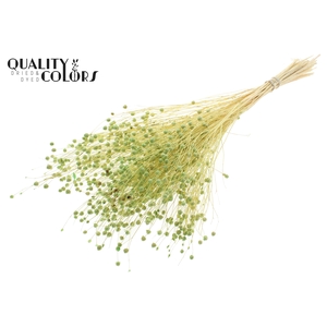 Lino Vlas per bunch in poly Intense Frosted Mint