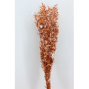 Dried Ruscus Nat Copper Glitter