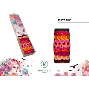 GE MI ELITE MIX GEM