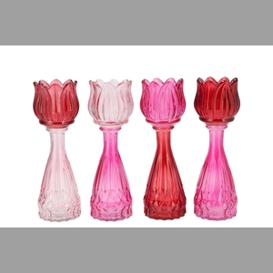 Bicolore Dutch Pink Mix Tulip Vase Ass 7x22cm