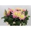 Dahlia Just Married