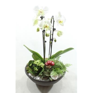 PH12 EBBI CASCADE WHITE