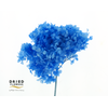 Dried Bleached Hydrangea Anna Cobalt Blue