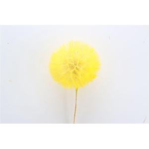 Pres Puste Flower Yellow