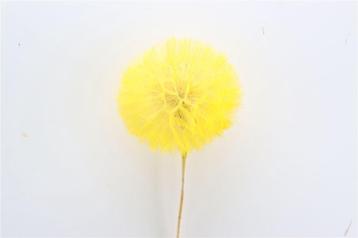 <h4>Pres Puste Flower Yellow</h4>