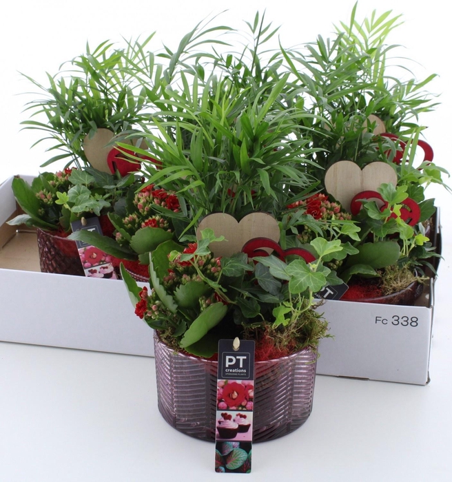 <h4>ARR KAMERPL</h4>