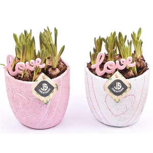 Cement pot met hart decor mix 14cm