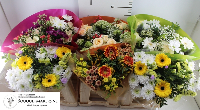 <h4>GEM BOEKET OV</h4>