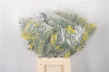 <h4>Acacia Dennisbode Bloei Per Bunch</h4>