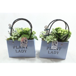 0. ZKE001 BLUE BAG