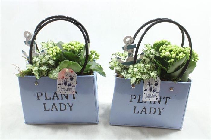 <h4>0. ZKE001 BLUE BAG</h4>