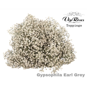 Gyps Pa Vip Earl Grey