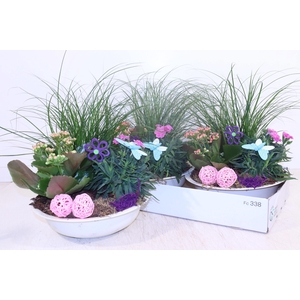 ARR TUINPLANTEN