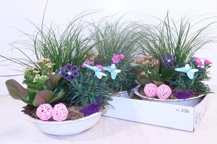 <h4>ARR TUINPLANTEN</h4>