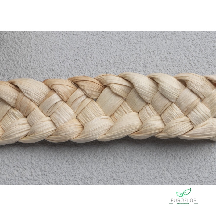 <h4>MAISBLAD TOUW 2,5CM 3M</h4>