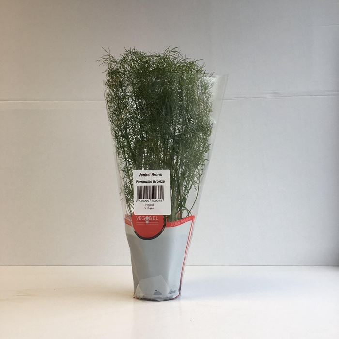 <h4>Bronsvenkel P9</h4>