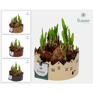 Zinken schaal Huisjes Small met Narcis