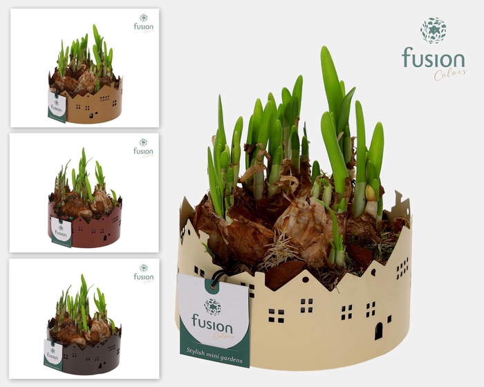 <h4>Zinken schaal Huisjes Small met Narcis</h4>