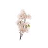 Cherry Blossom Spray Pink Light