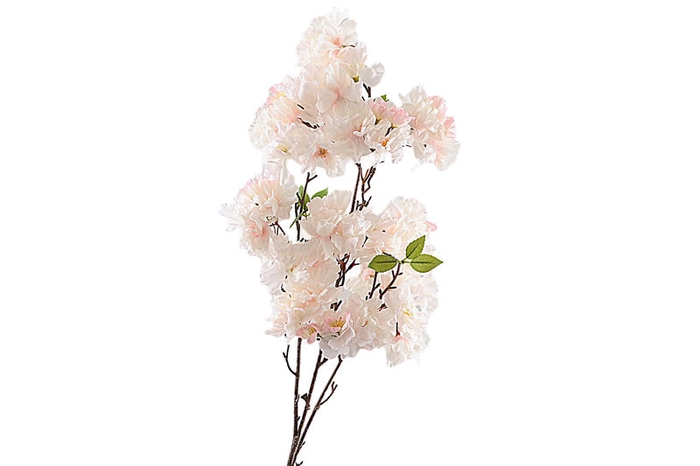 <h4>Cherry Blossom Spray Pink Light</h4>