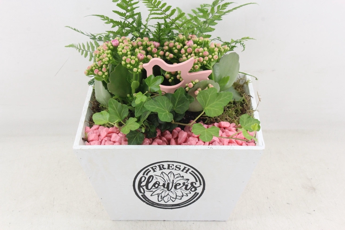 <h4>arr2 PL - Hout 4kant pot los roze bird</h4>