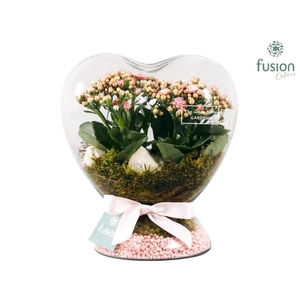 Green Bottle Hart met Kalanchoe