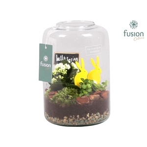 Green Bottle Isabella Small Pasen met Arrangement