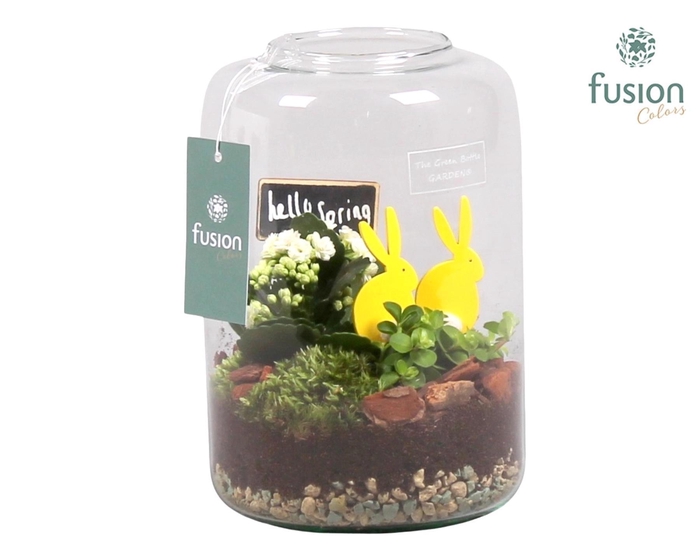 <h4>Green Bottle Isabella Small Pasen met Arrangement</h4>