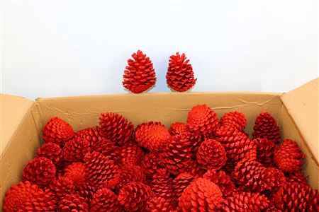 Pinecone Small Glitter Red