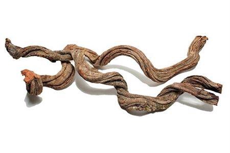 <h4>Cipo Rosca 100-120cm 6-7cm</h4>