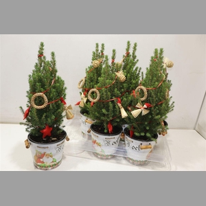 Kerstboom Versierd In Zinken Emmer