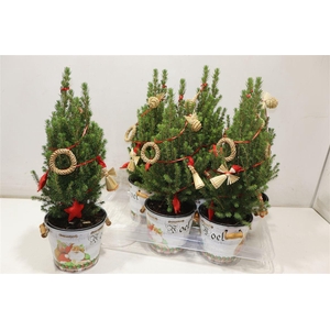 Kerstboom Versierd In Zinken Emmer